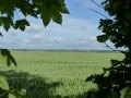 EPSOM - Hill 112 (1)