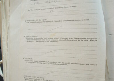 Returning PoW Questionnaire - PD White(2)