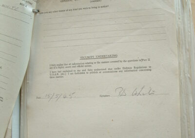 Returning PoW Questionnaire - PD White(3)